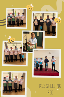 Al Sedra Bin Omran - Week 33 Al Sedra Bin Omran - Week 33